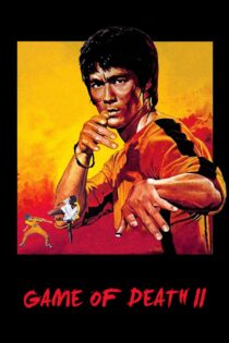 دانلود فیلم Game of Death II 1980 بازی مرگ 2